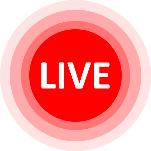 Camgirl Show